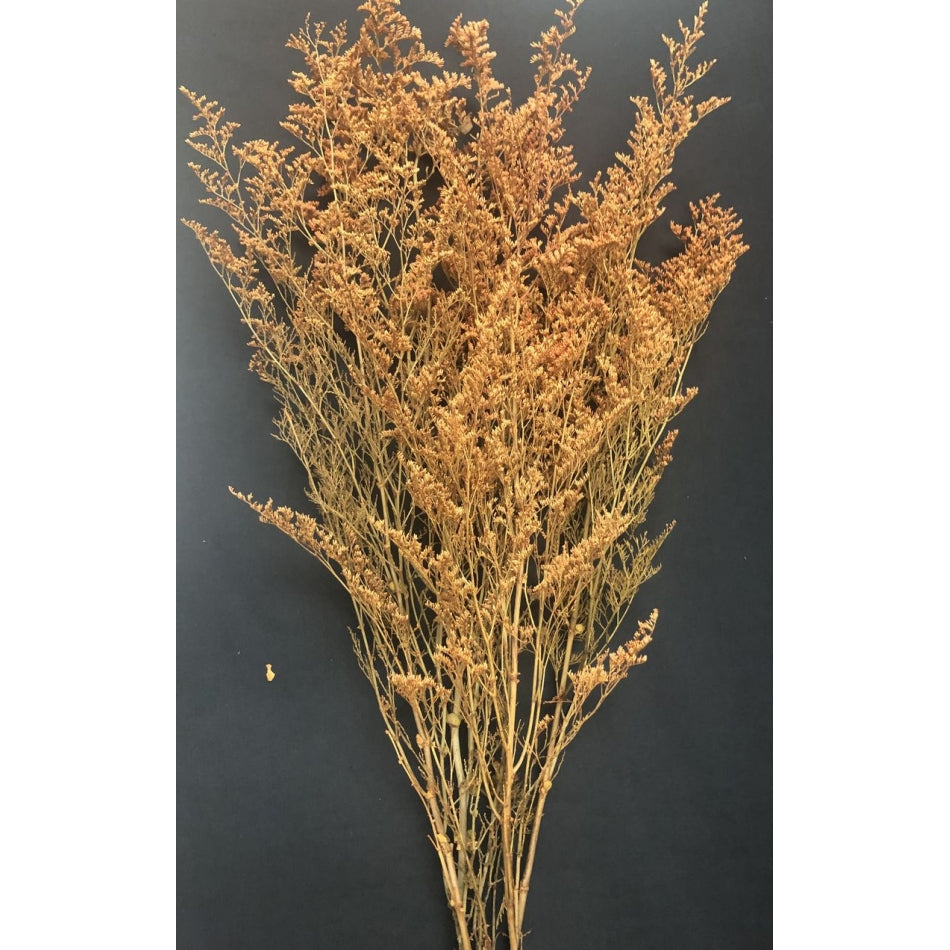 Caspia Preserved Yellow