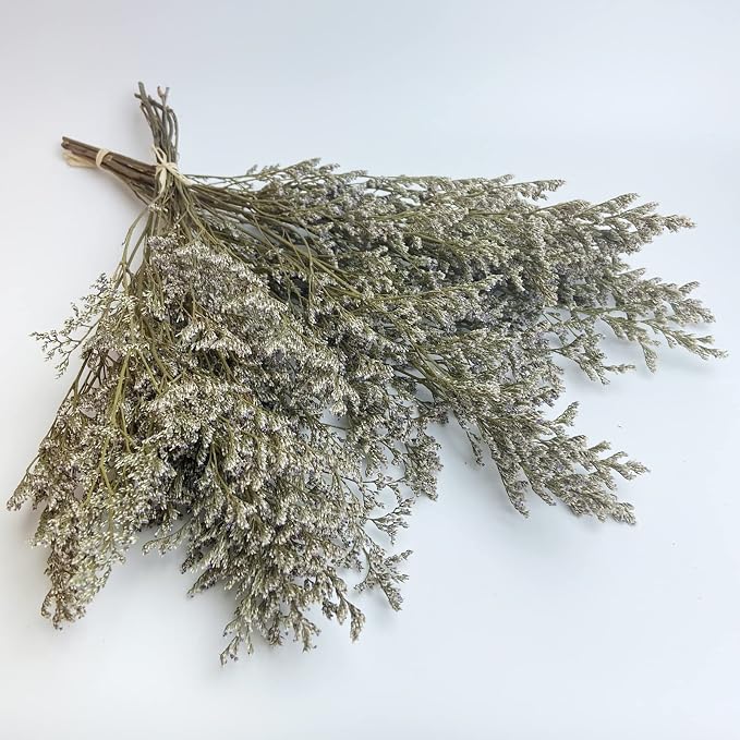 German Statice Dried Natural