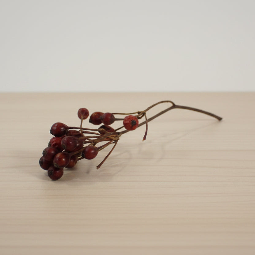 Small Red Fruit Branches / Dried