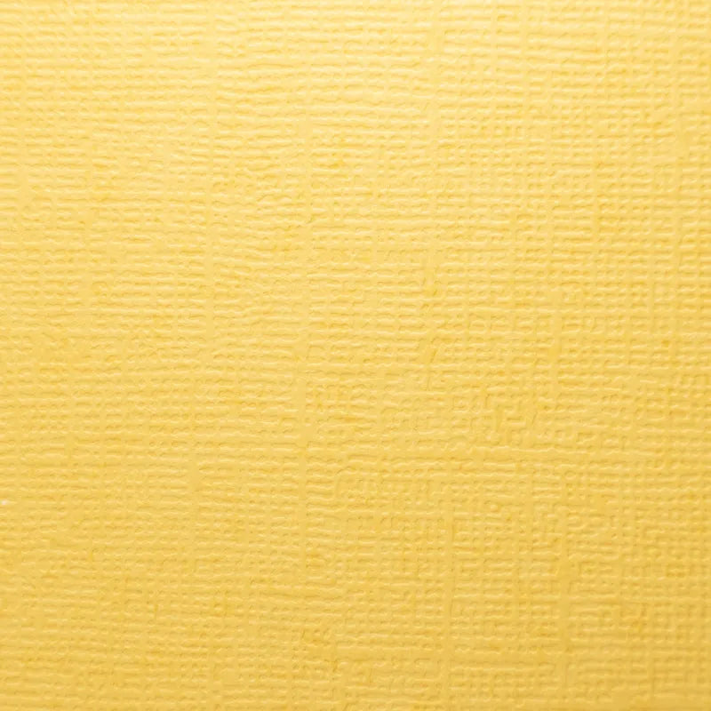 Cardstock - Canvas Texture (+ Options)