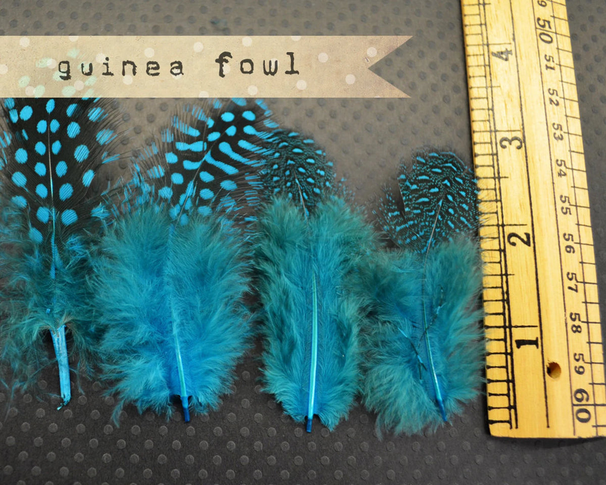 Guinea Fowl Plumage - Turquoise