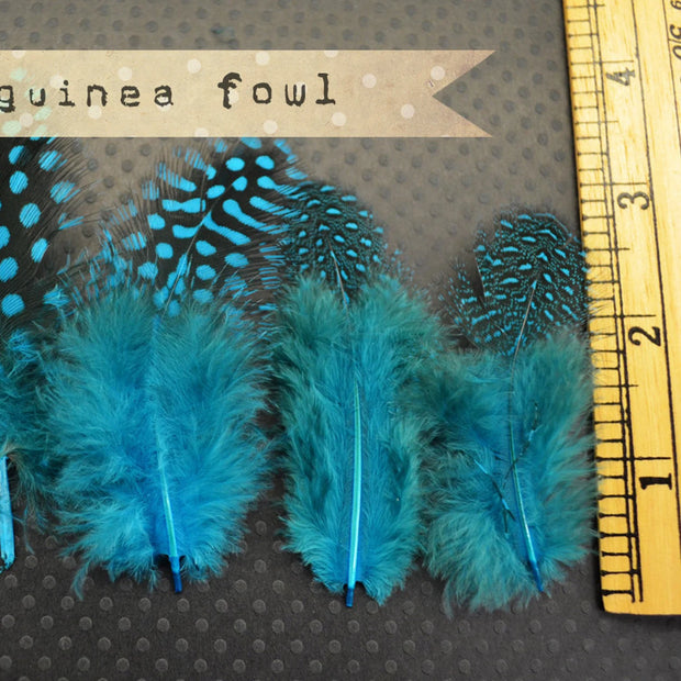 Guinea Fowl Plumage - Turquoise