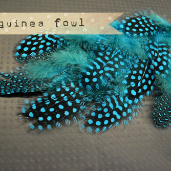 Guinea Fowl Plumage - Turquoise