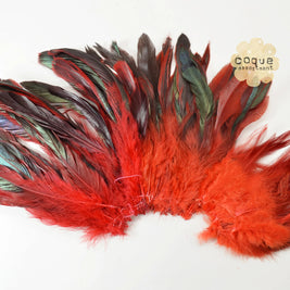 Rooster Coque Feathers - Red