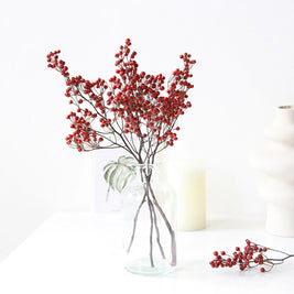Small Red Fruit Branches / Dried
